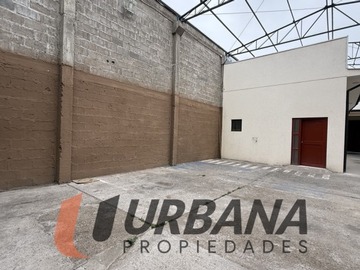 Imagen 11