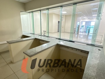 Imagen 10