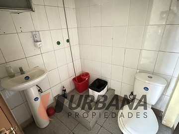Imagen 7