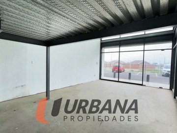 Imagen 8