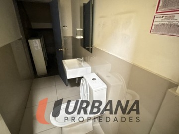 Imagen 5
