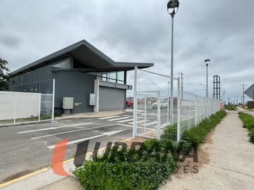 Imagen 5