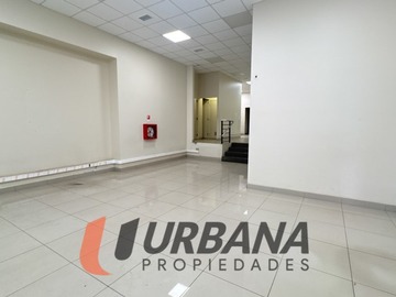 Imagen 13