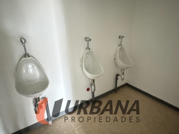 Imagen 19