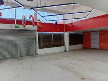 Imagen 5