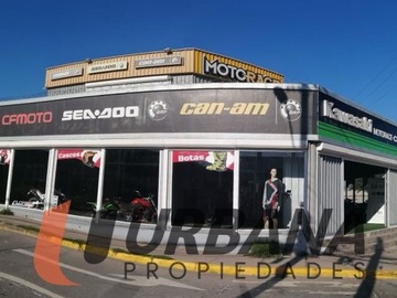 Imagen 5