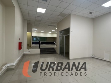 Imagen 11