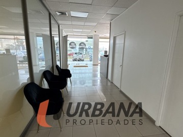 Imagen 4