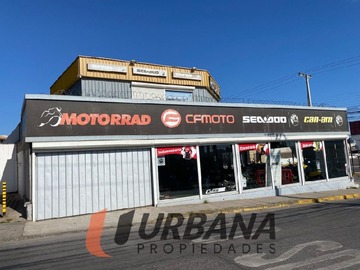 Imagen 4