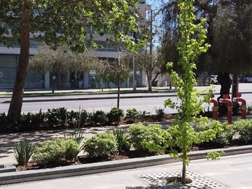 Imagen 9