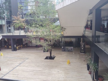 Imagen 5
