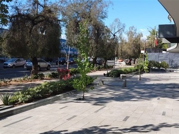 Imagen 10