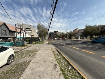 Imagen 5