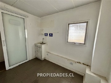 Imagen 5