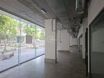 Imagen 27