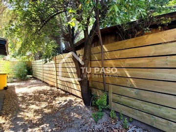 Imagen 19