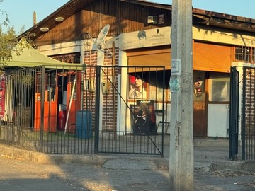 Imagen 11