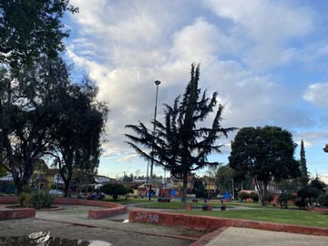 Imagen 8