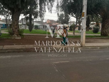 Imagen 19