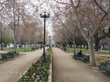 Imagen 9
