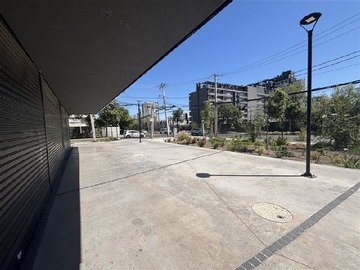 Imagen 8