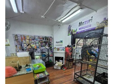 Imagen 5