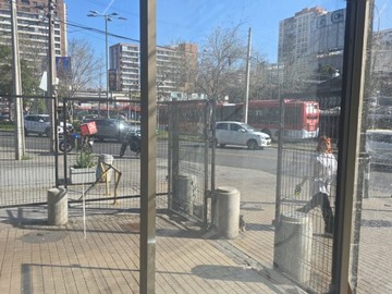 Imagen 11
