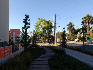 Imagen 7