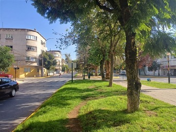 Imagen 6