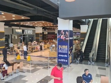 Imagen 8
