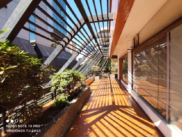 Imagen 10