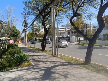 Imagen 7