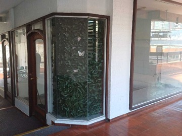 Imagen 5
