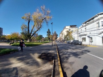 Imagen 5
