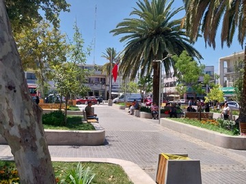 Arriendo Mensual / Local Comercial / Puente Alto