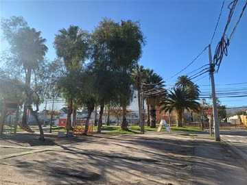 Imagen 5