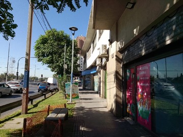 Imagen 7