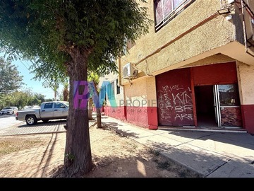 Imagen 15
