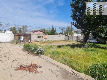 Imagen 11