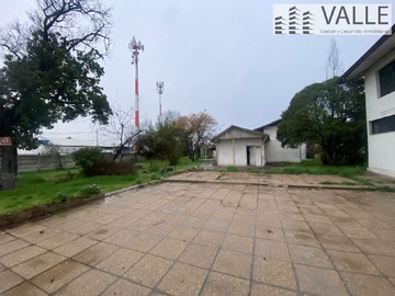Imagen 5