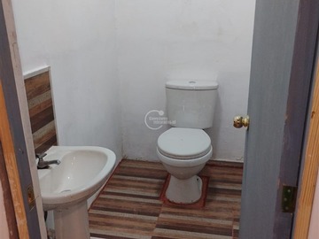 Imagen 12