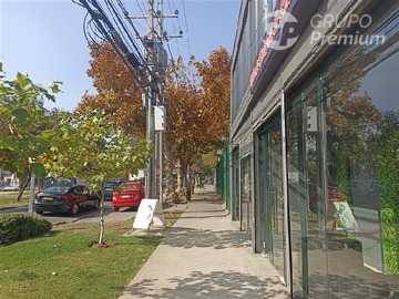 Arriendo Mensual / Local Comercial / San Bernardo