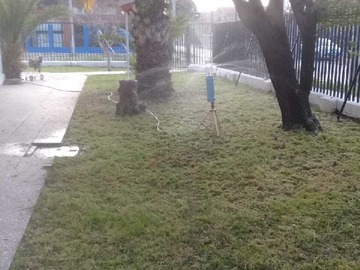 Imagen 11