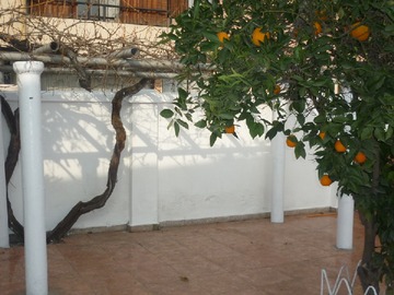 Imagen 13
