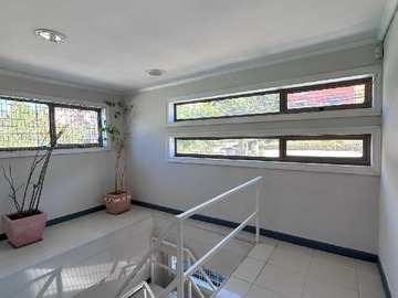 Imagen 7