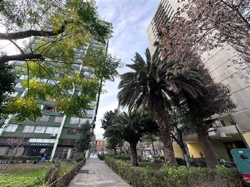 Imagen 7