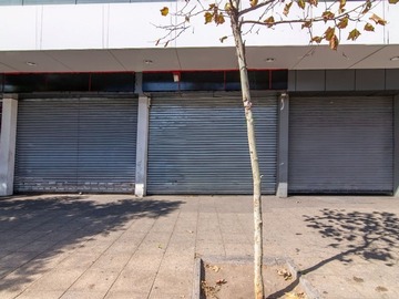 Imagen 11