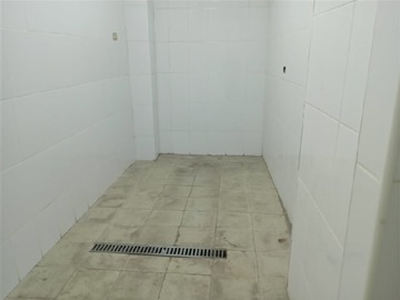 Imagen 6