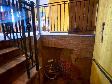 Imagen 6