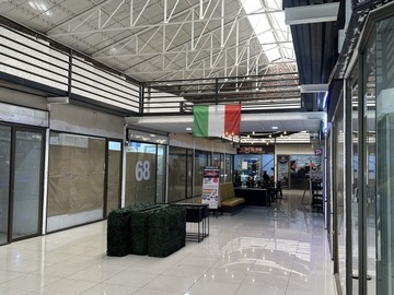 Imagen 11
